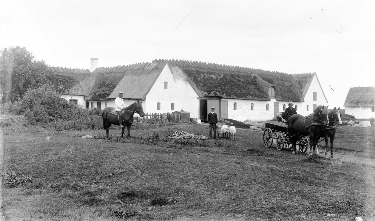 10972.32  Ukendt gård, Fotograf H. Barby