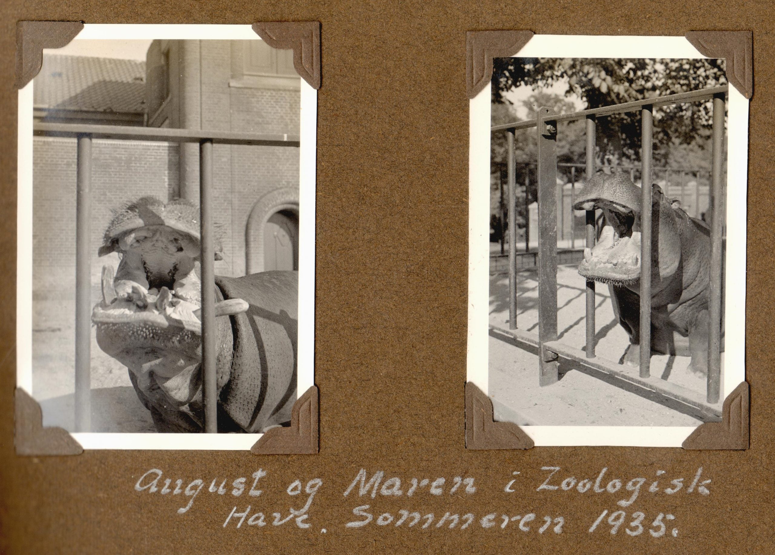 70.91-70.92 August og Maren, Zoo 1935