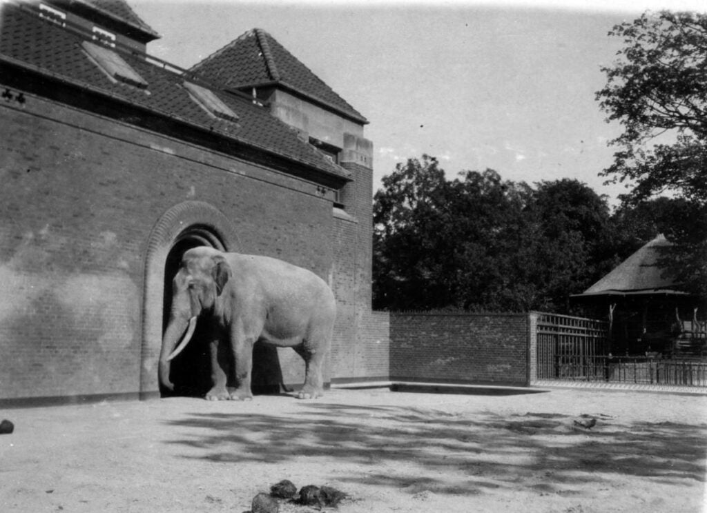 59.33 Zoologisk Have 1928.