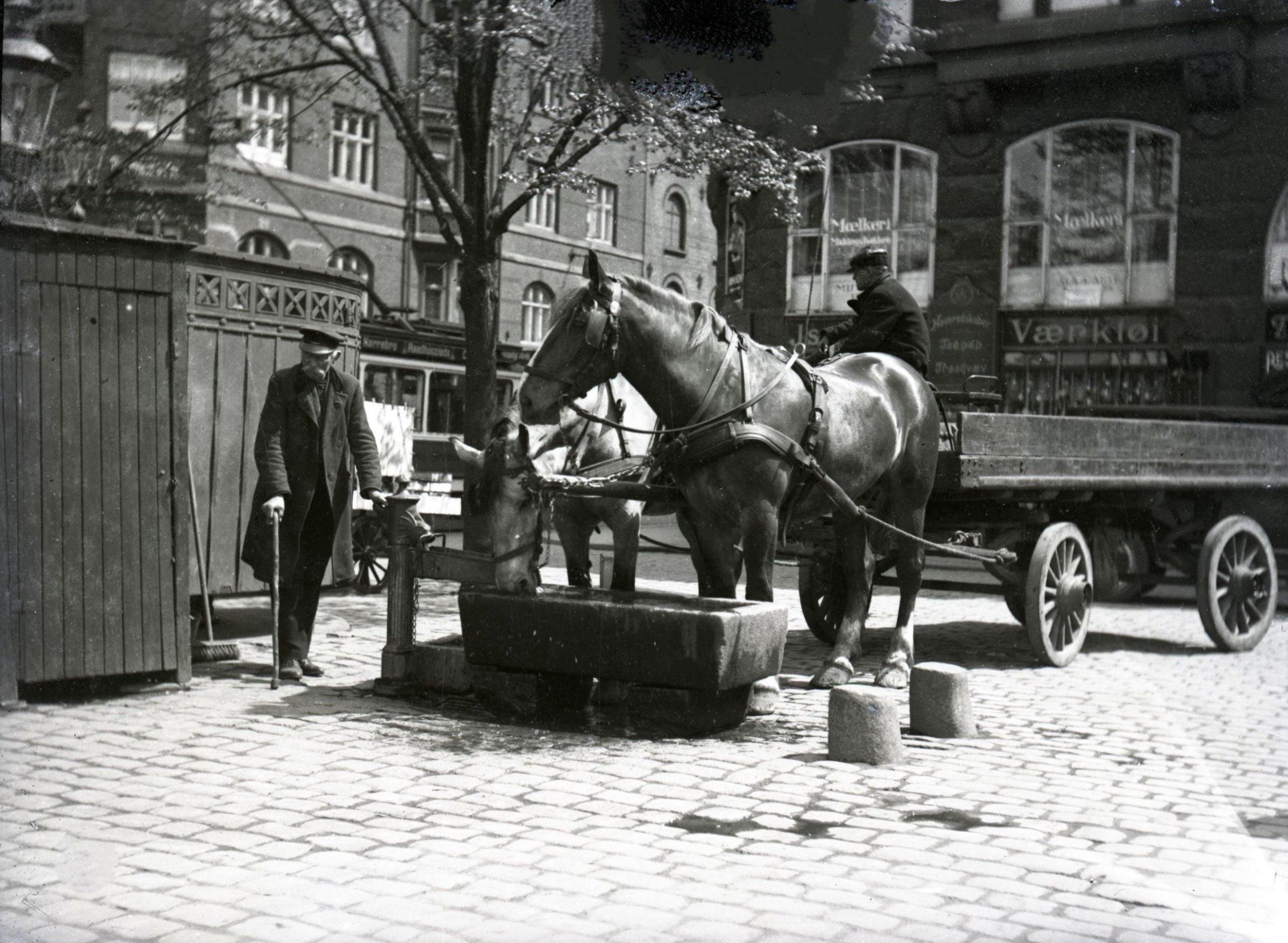 80.240 På billedet ses en hest blive vandet bag pissoiret på Christianshavns Torv med ejendommen Dronninghus i baggrunden til højre.