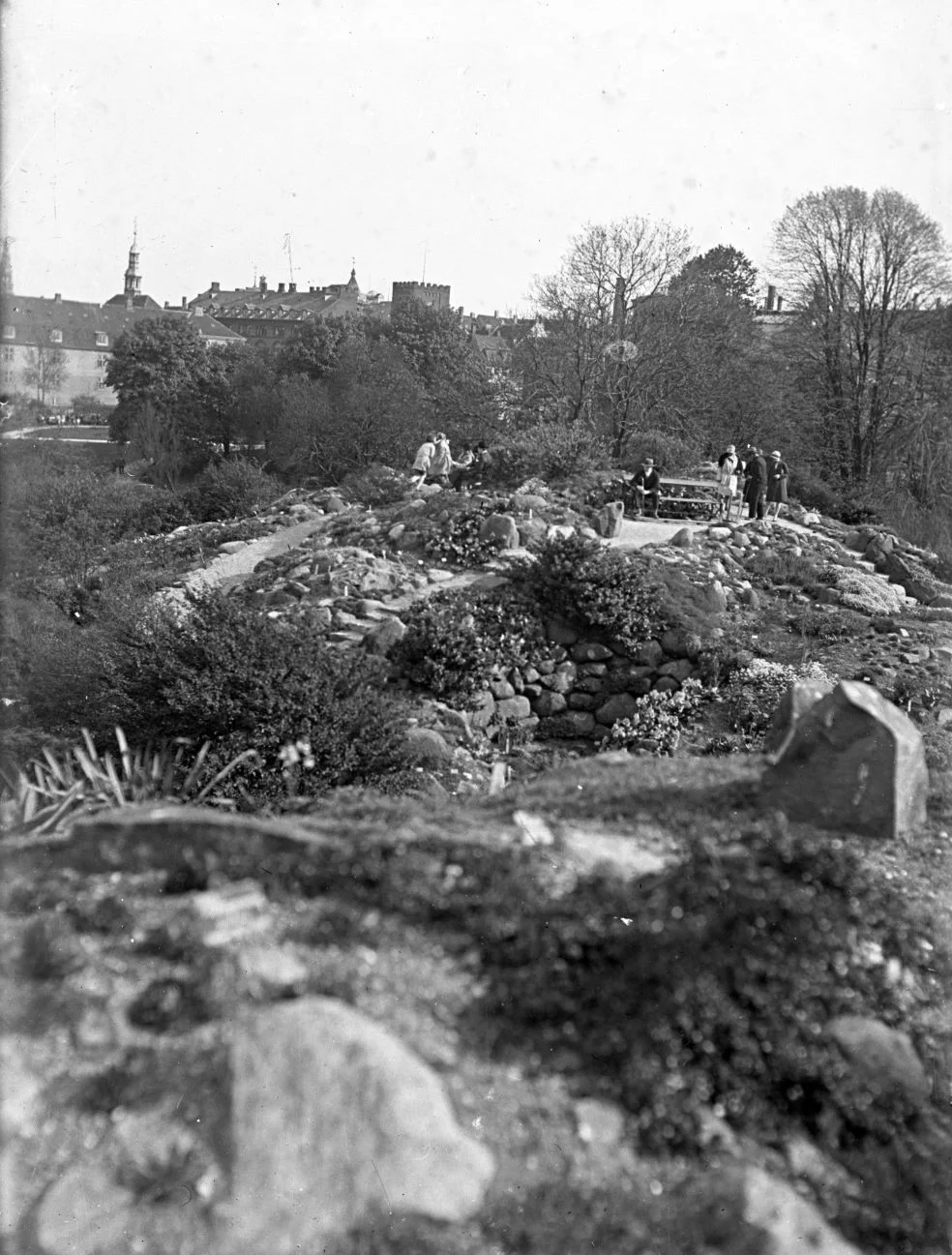 80.273 Botanisk have.