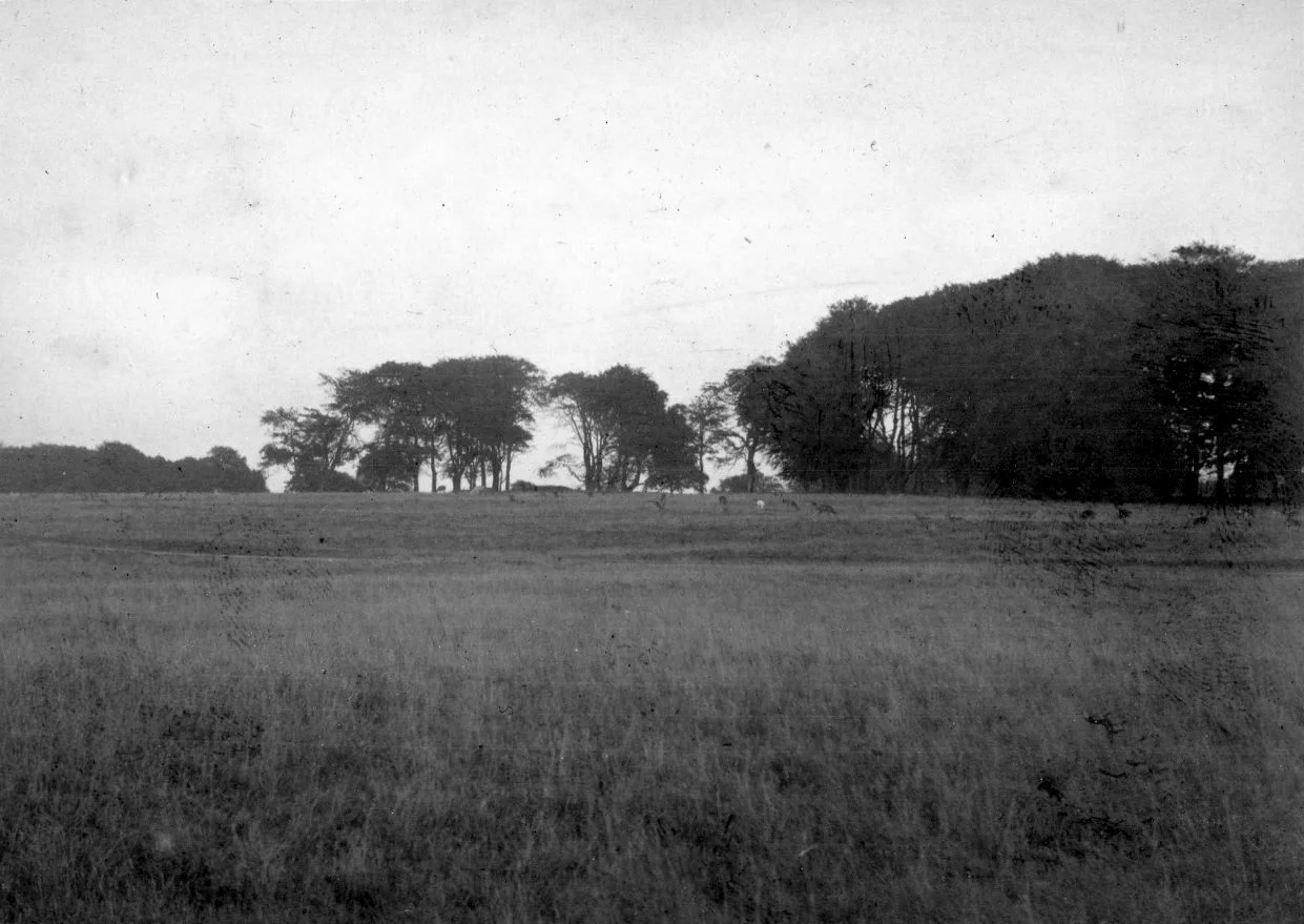 53.3 Gråvejrsdag på Eremitagesletten 18. september 1920