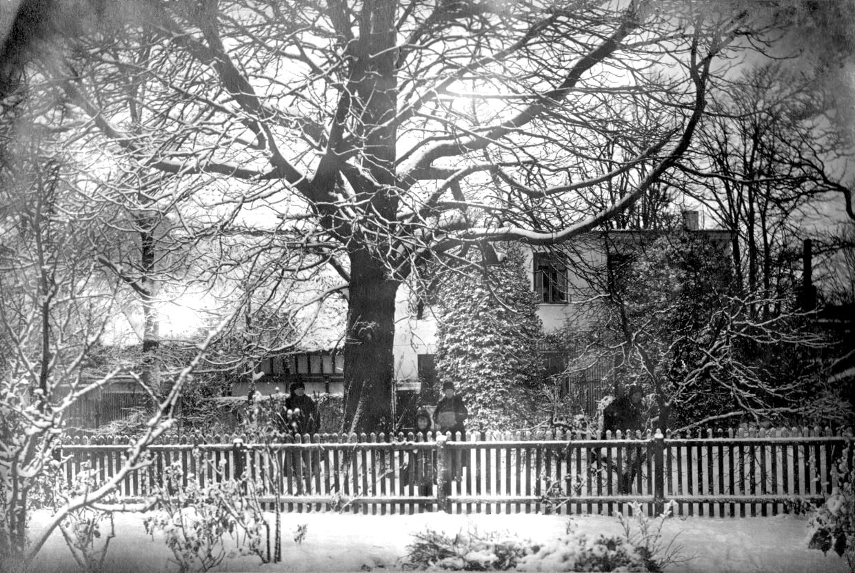 71.97 Helsingør ca 1917. Peter Sletting med familie boede i stuen i baggrunden. Børnene ses ved det store kastanietræ i haven. Bedstemor ( enkefru Marie Magdalene Sletting i baggrunden sammen med Holga Sletting )