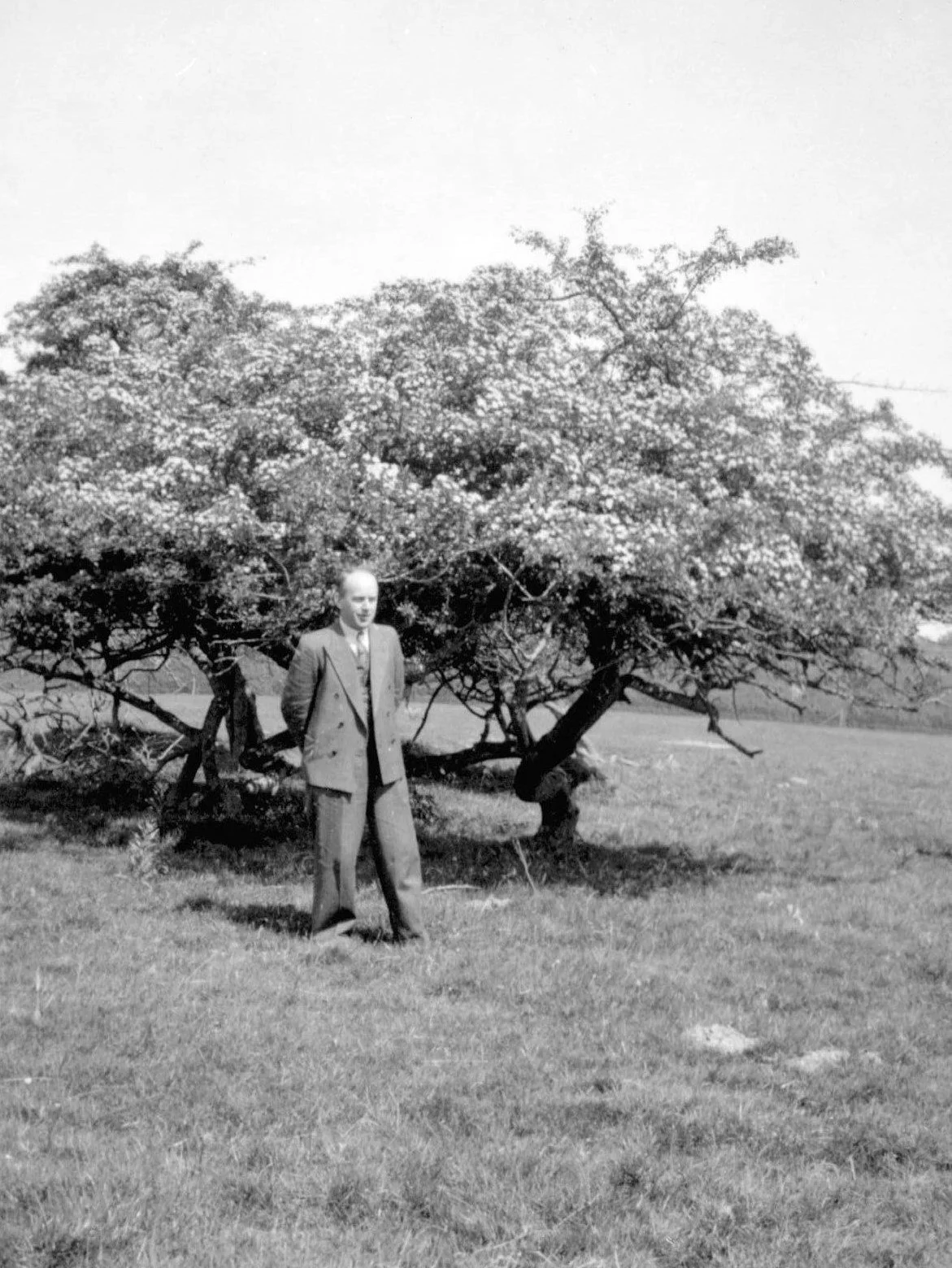 70.176 Svend Lundsgaard, Eremitagen 1943