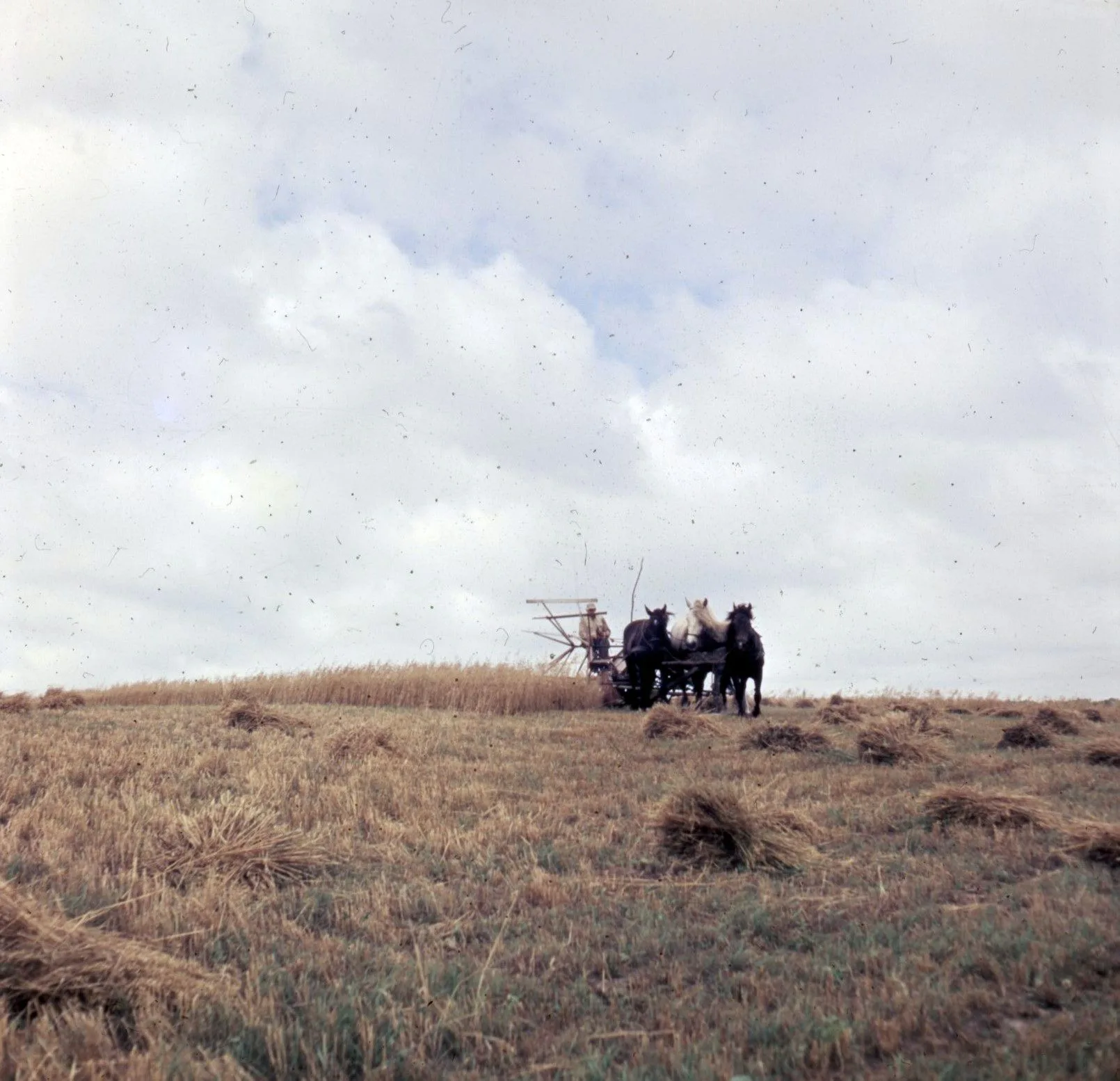 128 Lønstrup 1959
