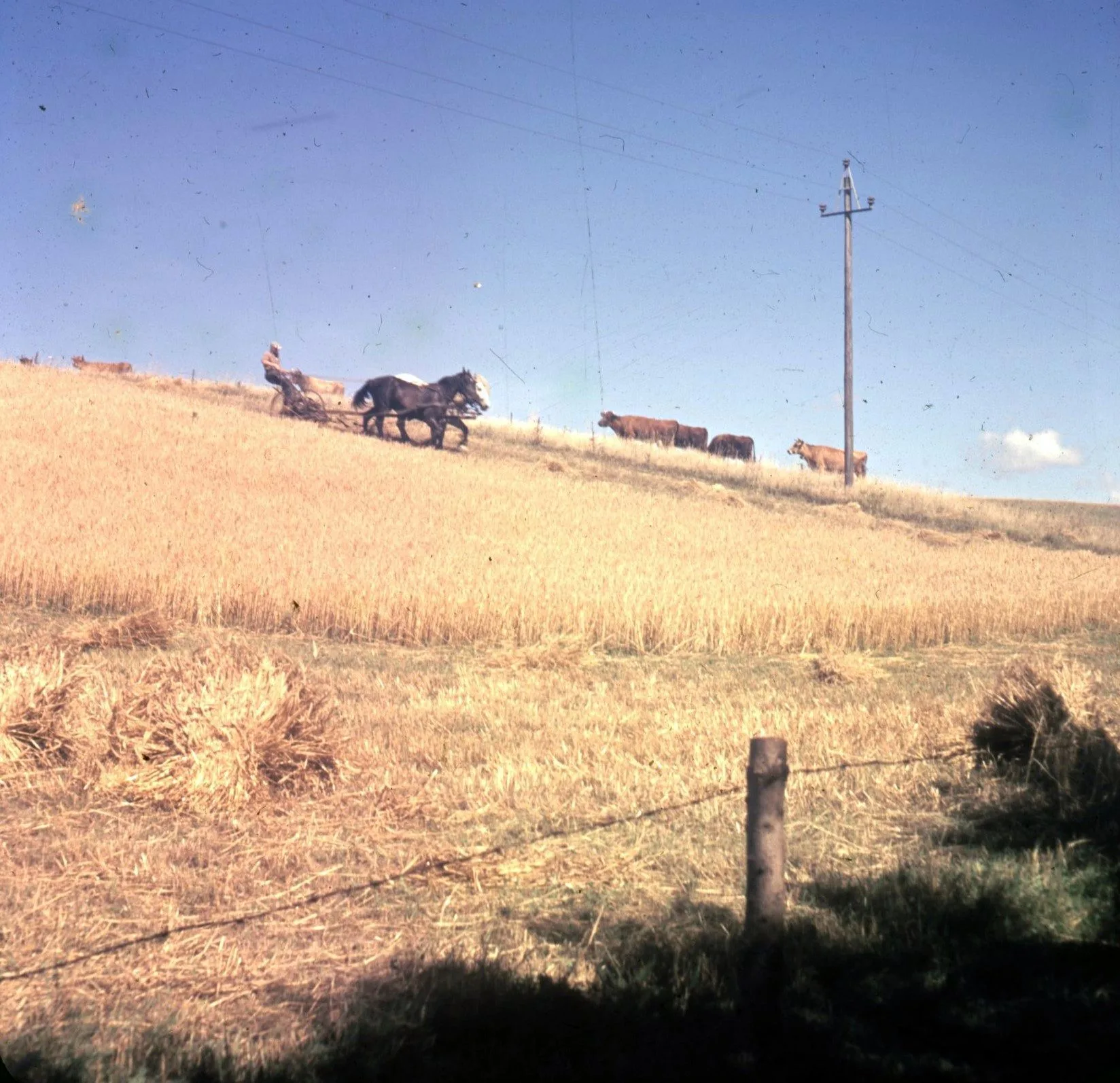 129 Lønstrup 1959