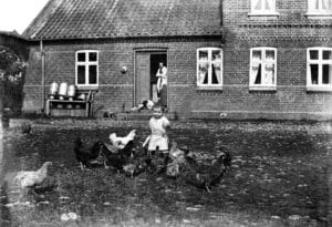 14183.3.13 Gården Ulriksminde, Hallevej 3, Brædstrup.