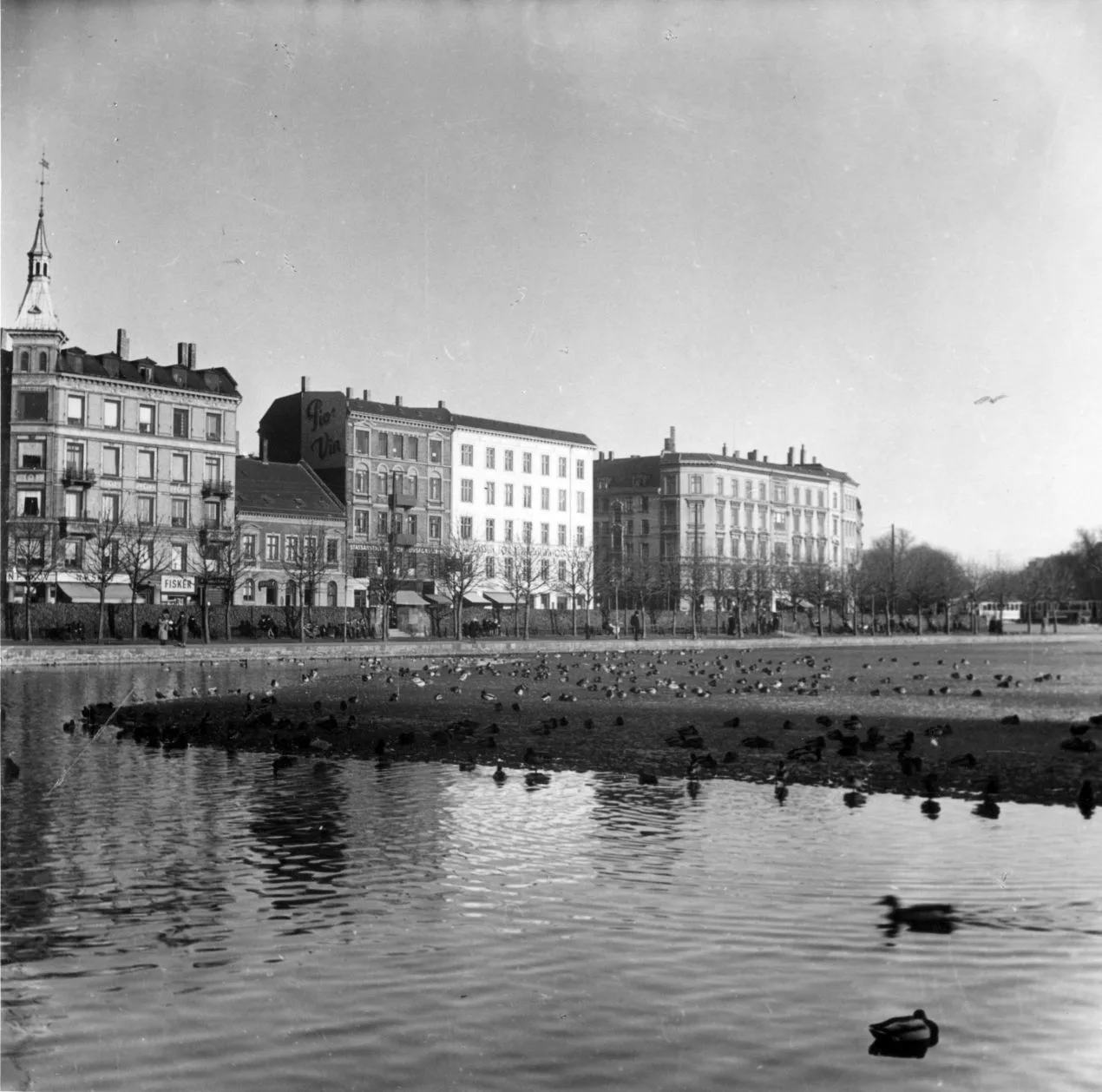 79.191 Den nordlige ende af Sortedamssøen. Bagved ligger Østerbrogade, fra Willemoesgade til Classensgade.
