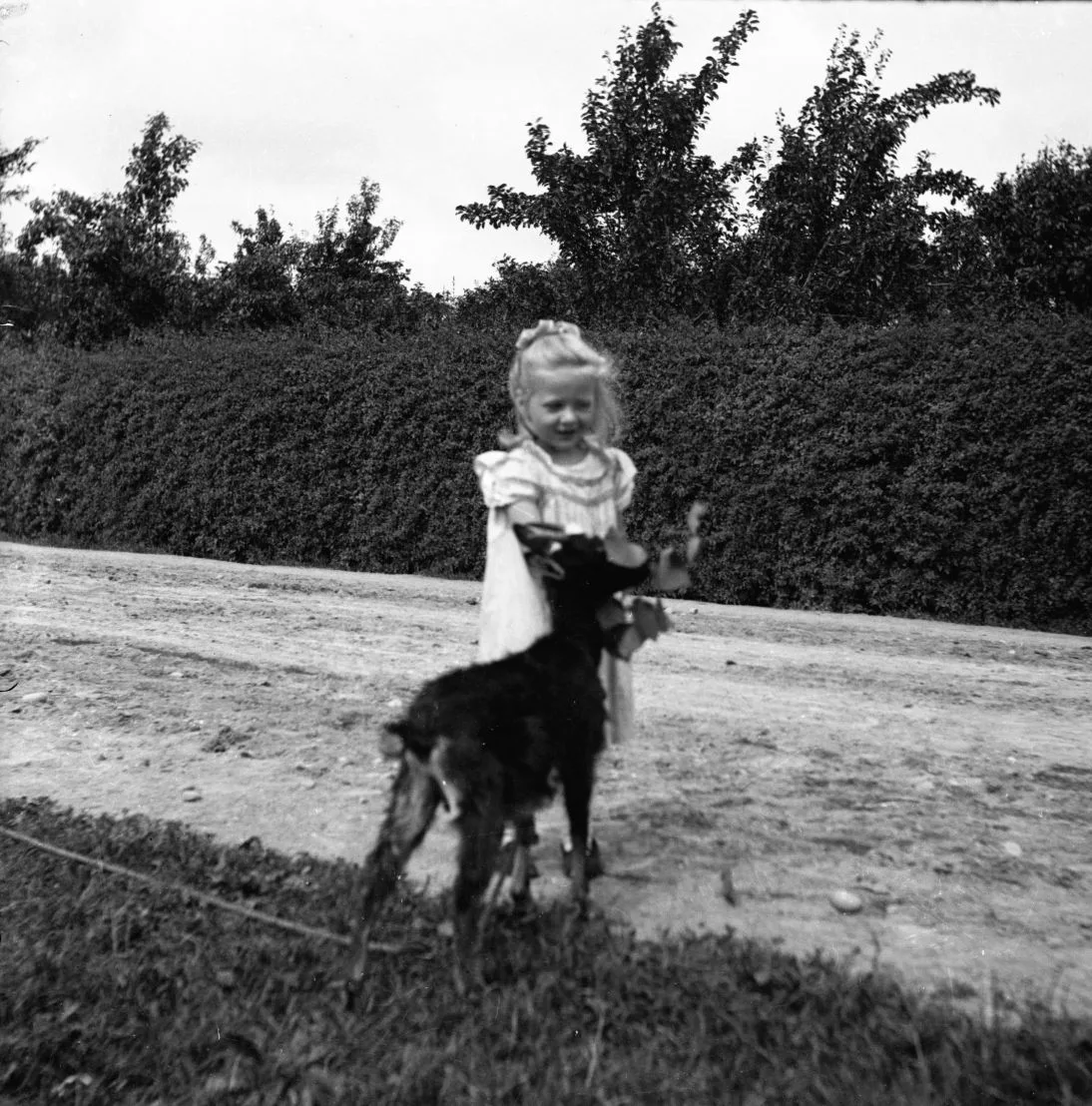 90.149 Estre med ged.