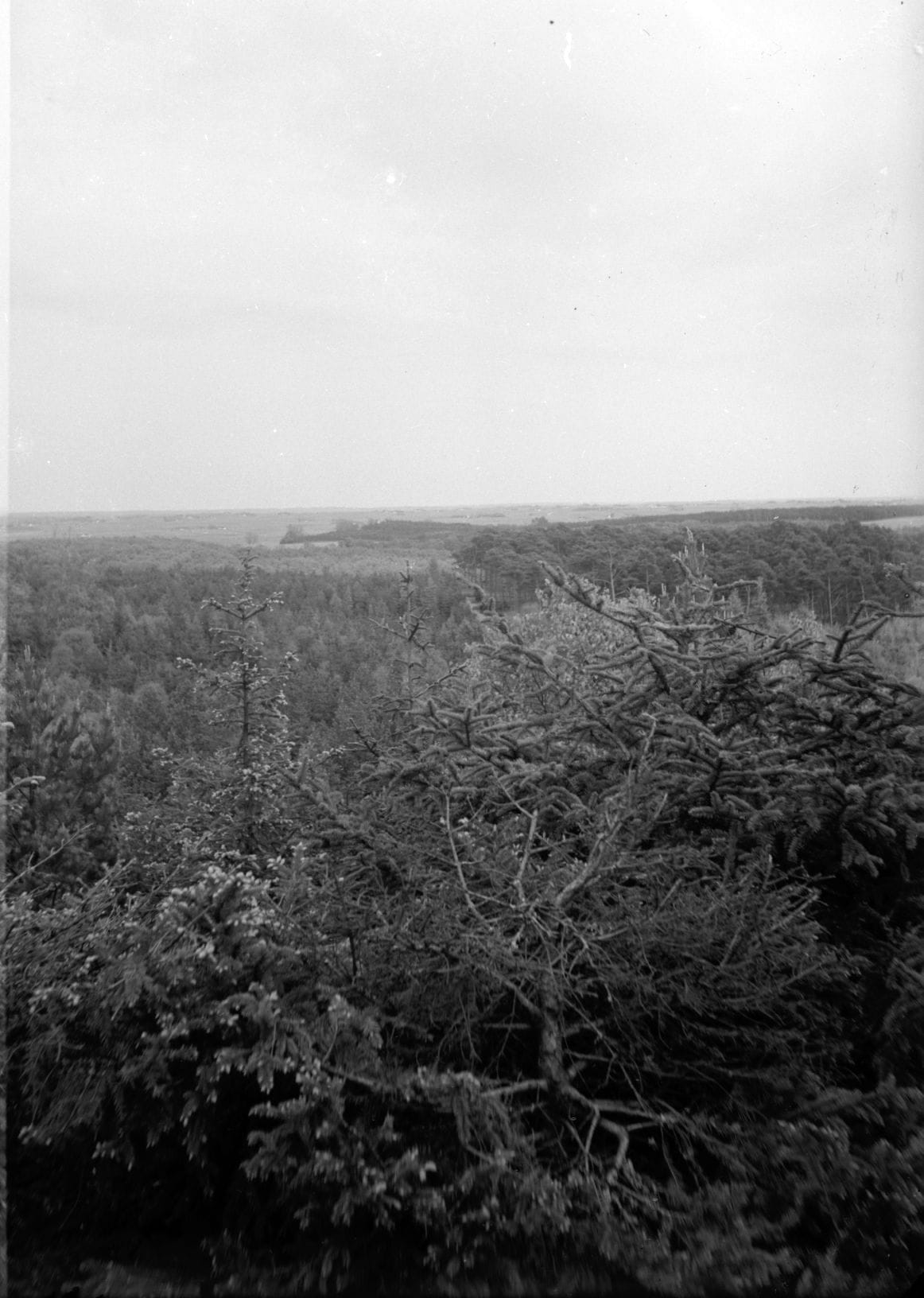 90.732 Udsigt til Tisvilde hegn.