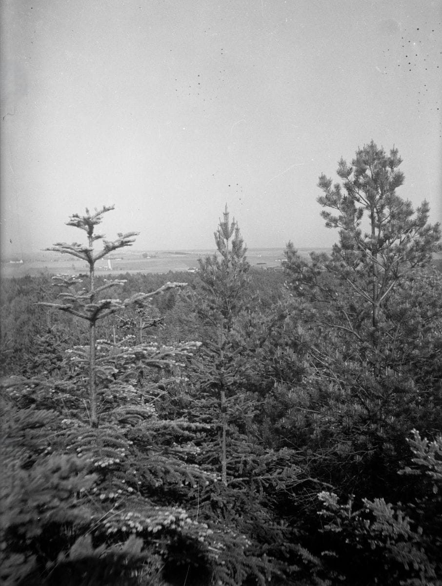 90.764 Udsigt fra Frøbakke, Tisvildeleje.