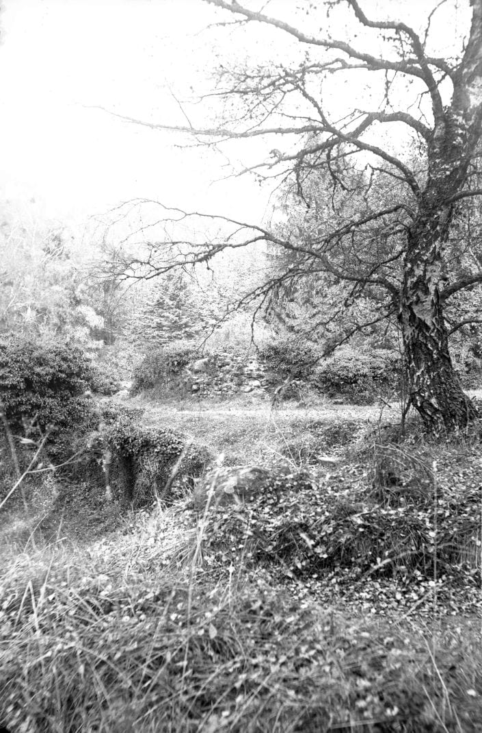 90.818 Asserbo fra Tisvilde hegn.