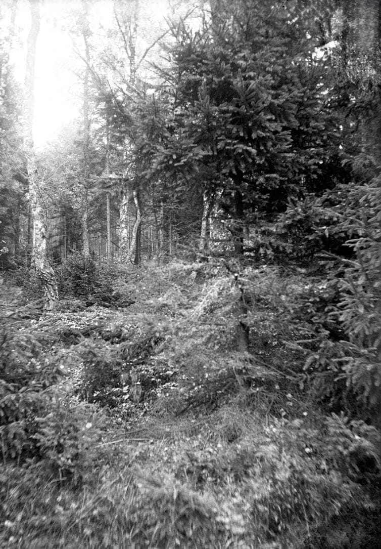 90.822 Tisvilde hegn