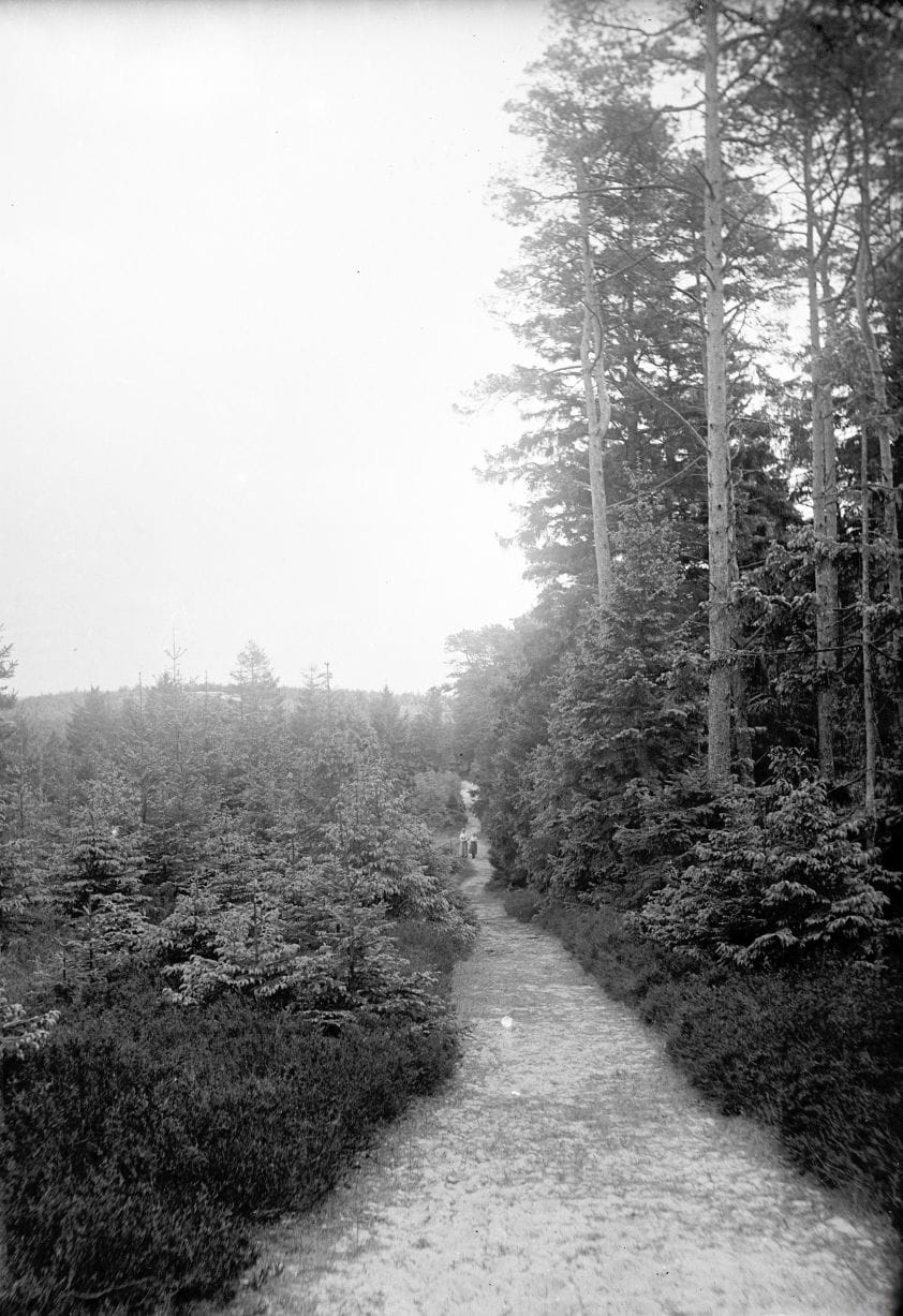 90.839 Vej i Tisvilde, Myretuen.