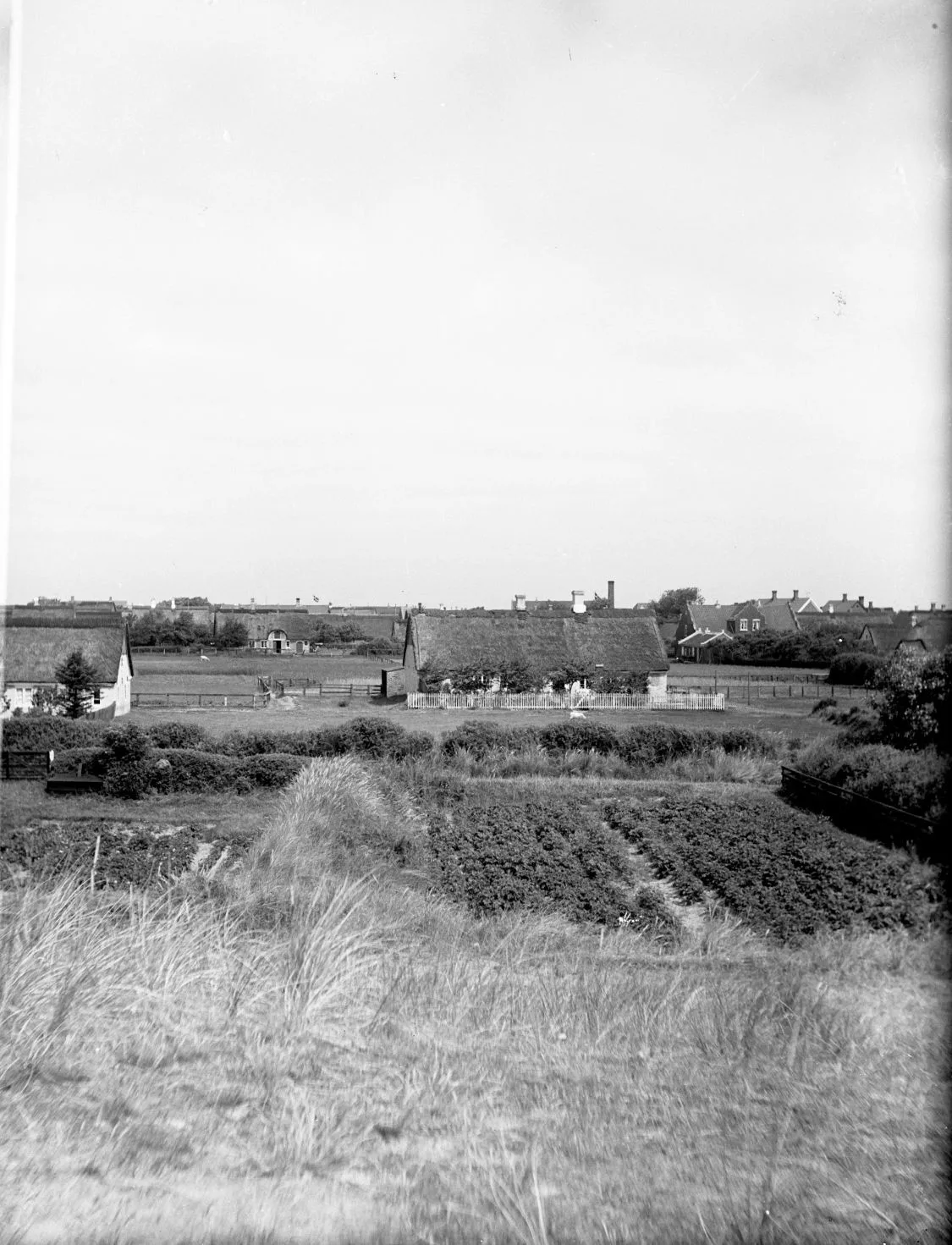 90.855 Fanø, udsigt over Sønderho fra klitten.