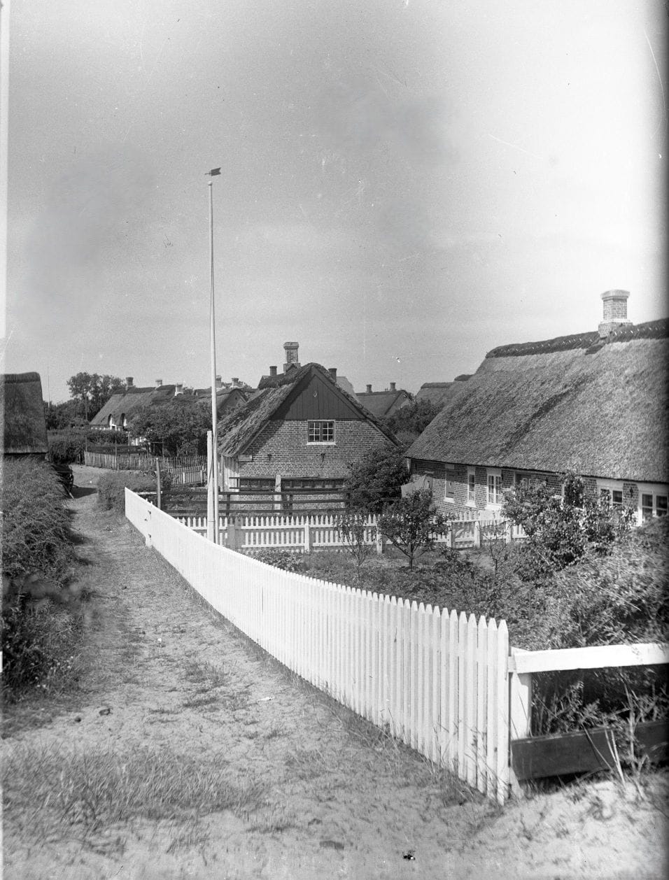 90.856 Fanø, parti fra Sønderho.