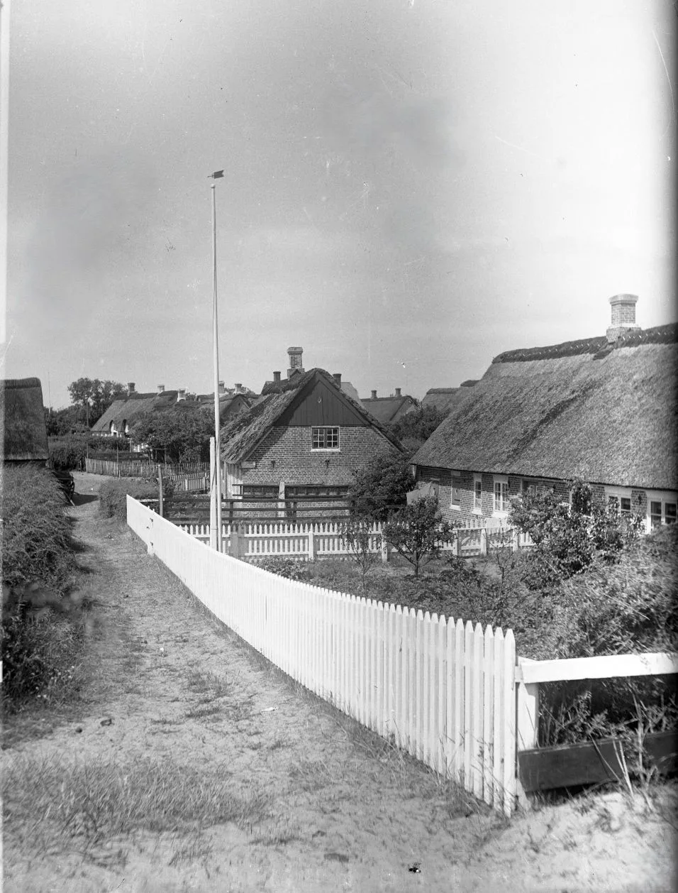 90.856 Fanø, parti fra Sønderho.