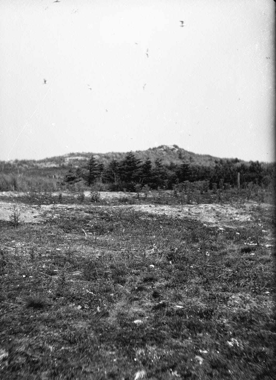 90.874 Mågedalen.
