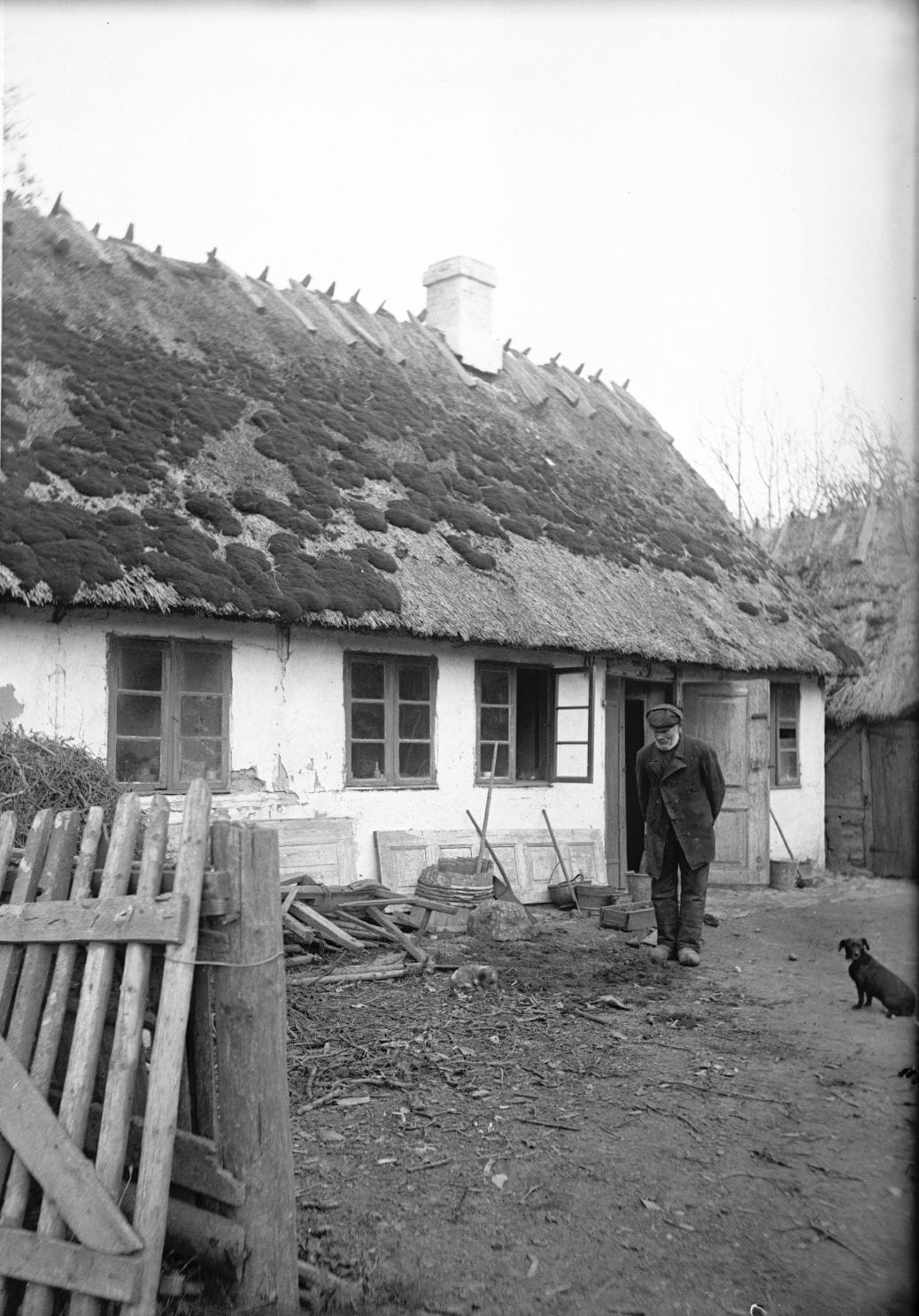 90.881 Mand med hundehvalp i Tisvilde.