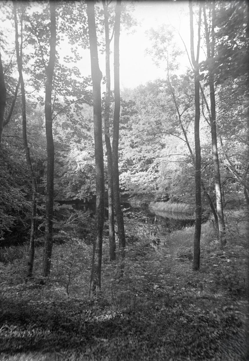 90.884 Skovsø i Folehaven vest for Rungsted.