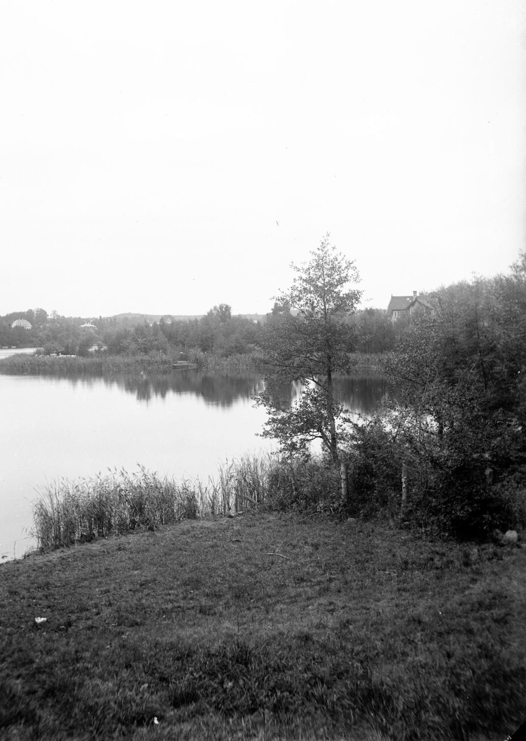 90.902 Vejlesø ved Holte.