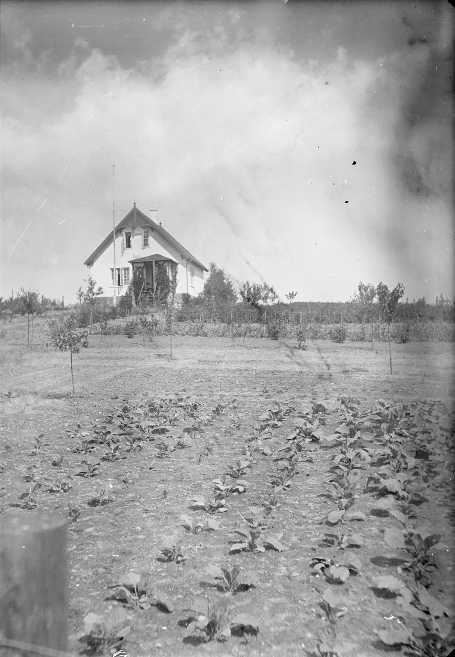 90.915 Villa Højbo nær Sandbjerg , Trørød og Vedbæk.