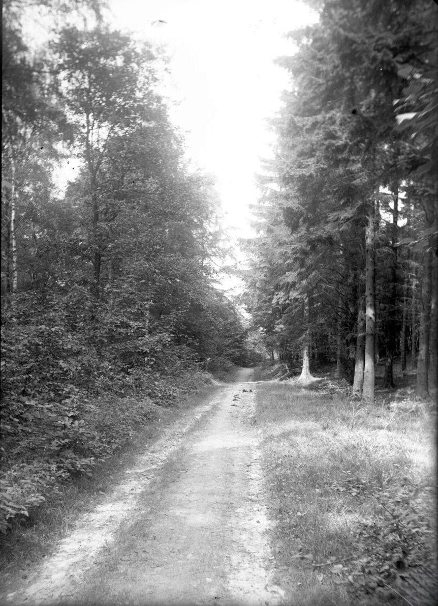 90.930 Skovsti i Rude Skov.