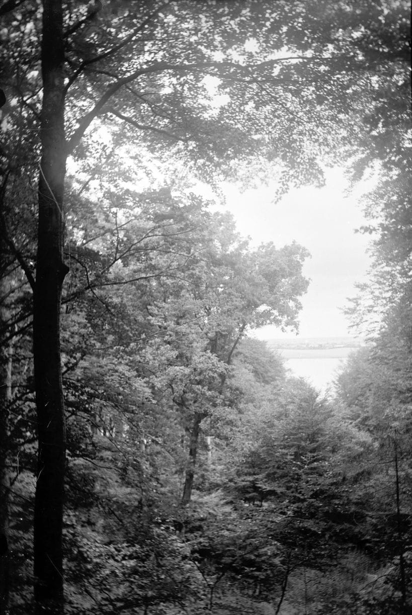 90.939 Kongebroskoven, udsigt over Lillebælt.