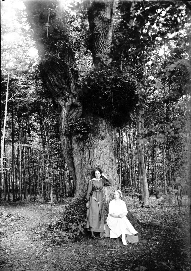 90.947 Estre og Ingeborg Alstrup ved Erik Menveds Eg, Hindsgavl