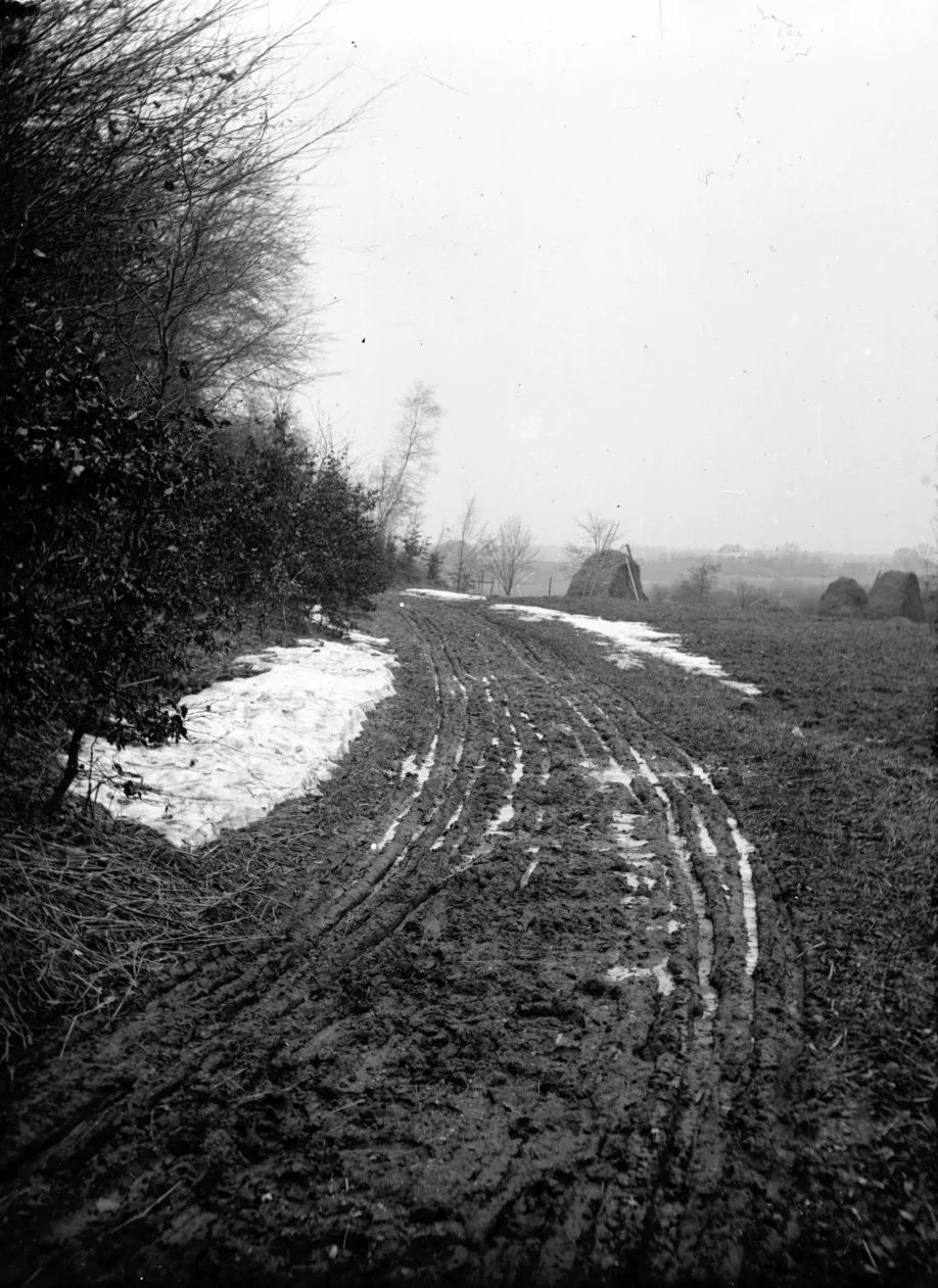 90.973 Trørød hegn, frosttåge