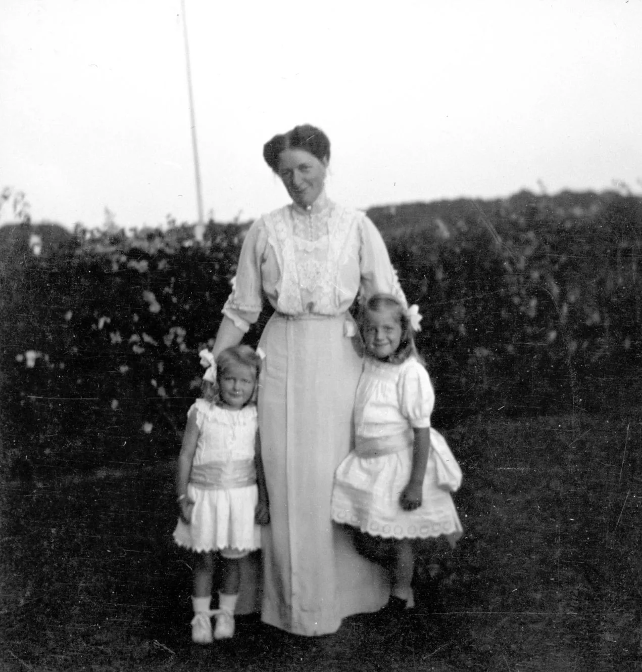 81.1 Bolbrohøjs have 31. juli 1913.