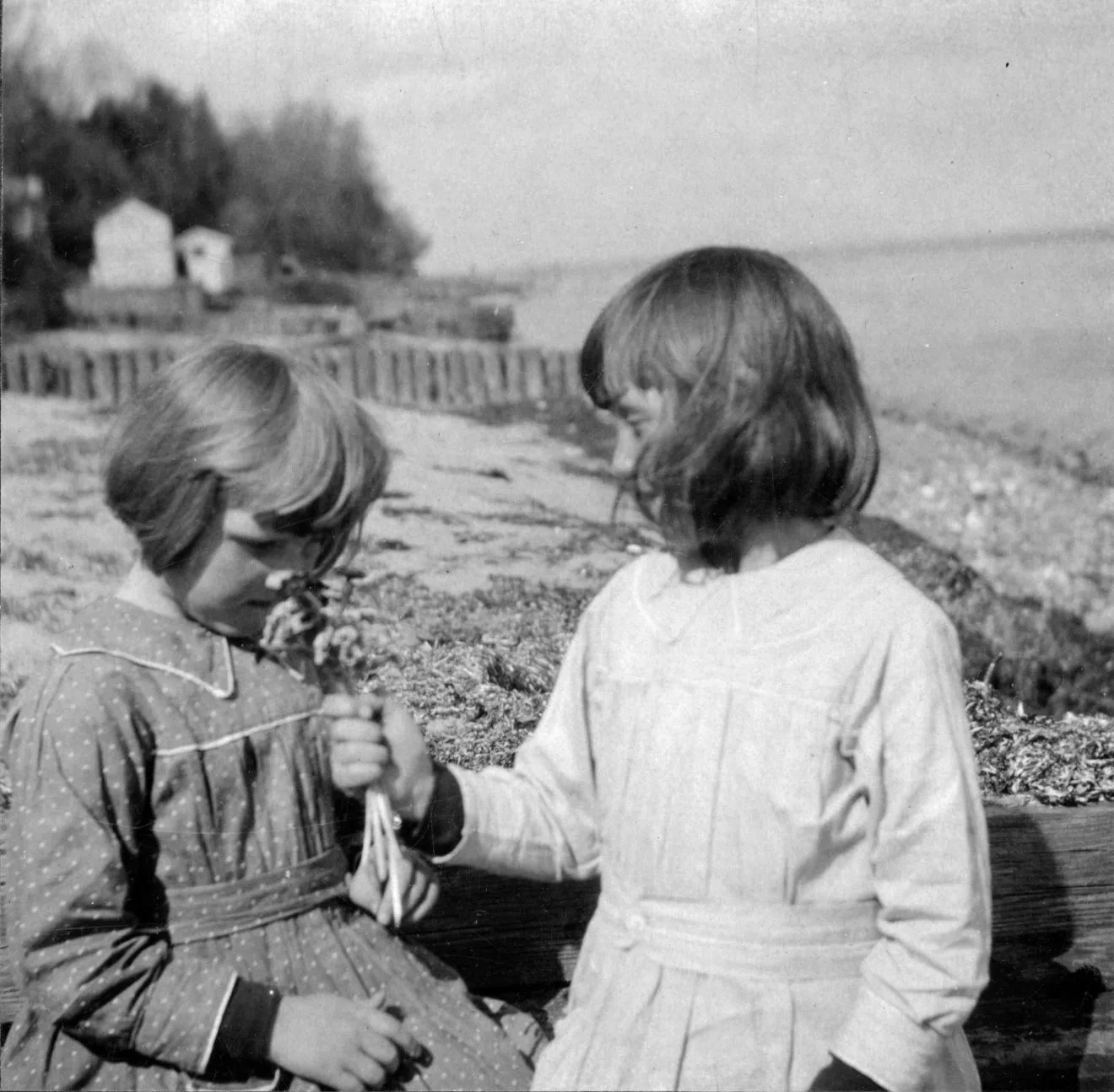 81.82 Norske huse 1920 Jutte og Bitten.
