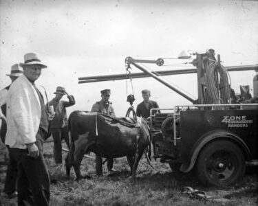 81.113 81.113